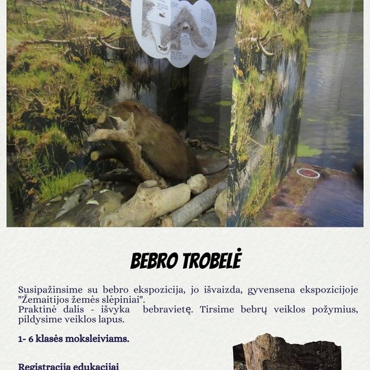 Iliustracija