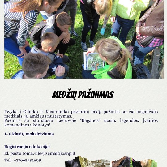 Iliustracija