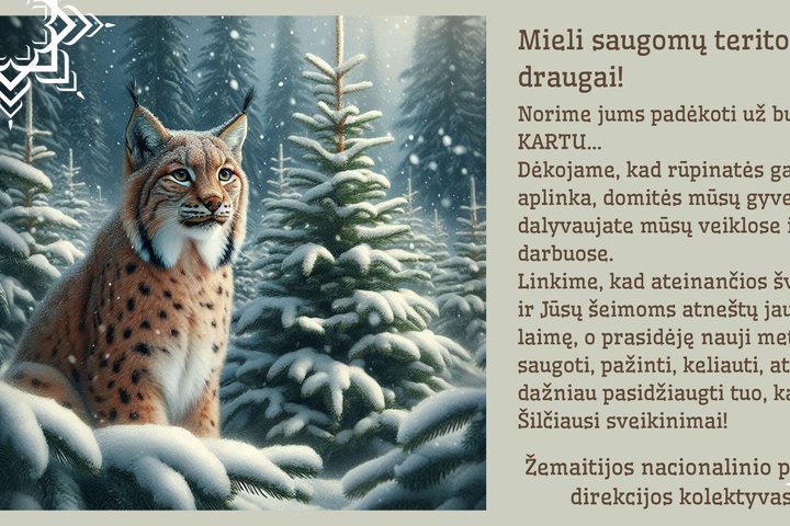 Kalėdinis atvirukas su lūšimi