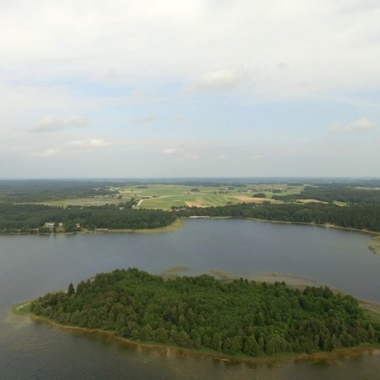 Briedsale.G.Norvaiso-n.jpg