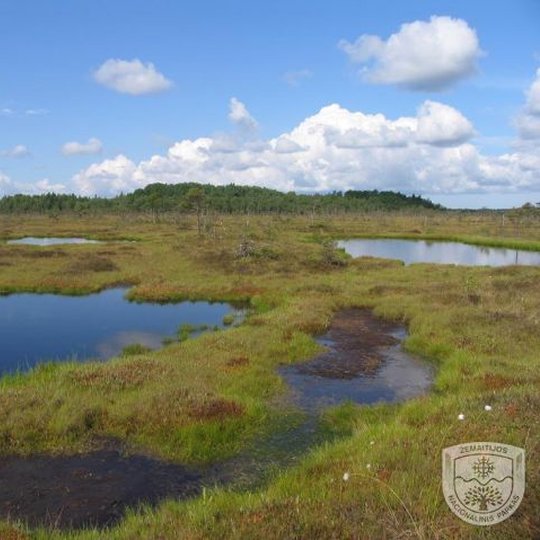 Reiskiu-tyro-valstybinis-termologinis-draustinis-Reiskiu-tyro-aukstapelke.jpg