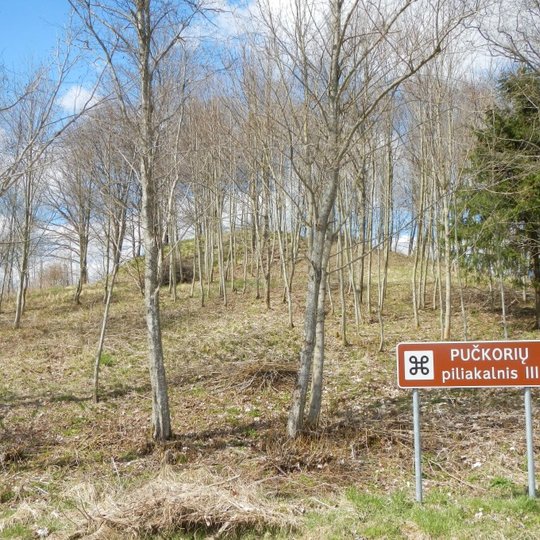 Pučkorių piliakalnis