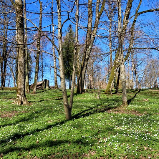 Iliustracija