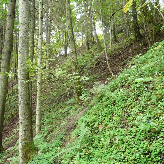 Gegrėnų archeologinis draustinis