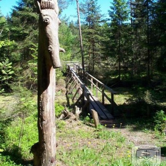 Seires-takas-5.jpg