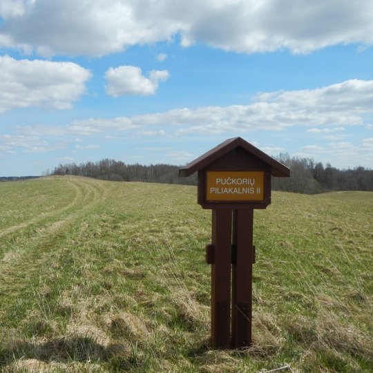 Pučkorių piliakalnis