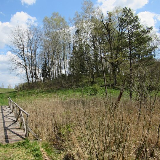 The path of the poet V. Mačernis
