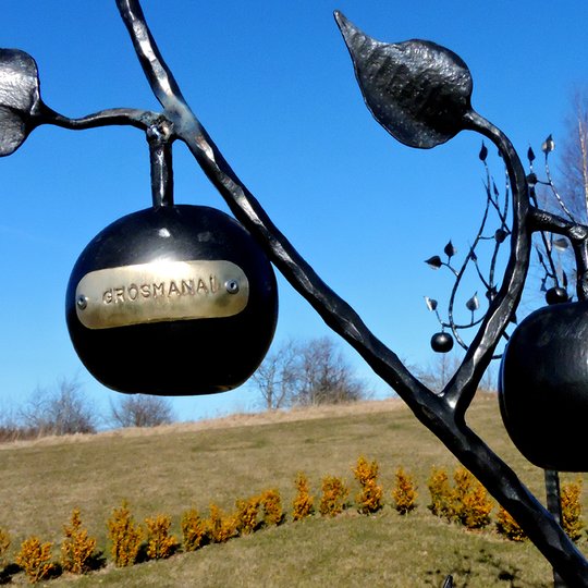 Grosmanai. Panevezio medis. Litvaku atminimo sodas. E.Bunkos n .JPG