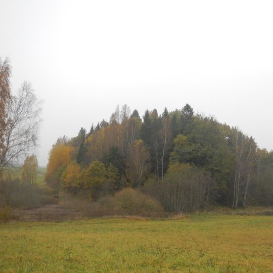 Grigaičių piliakalnis