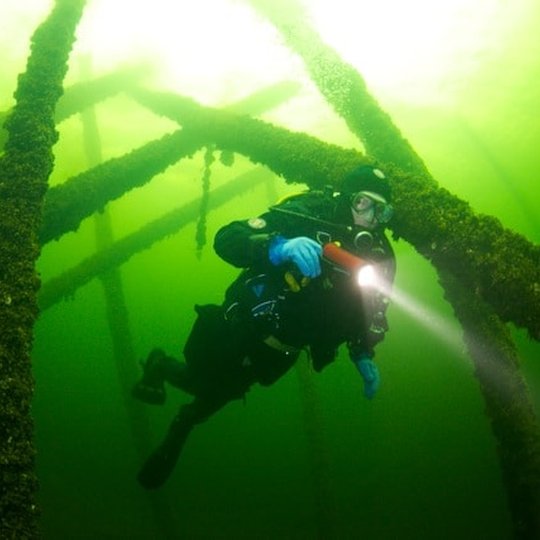 Diving in Plateliai lake