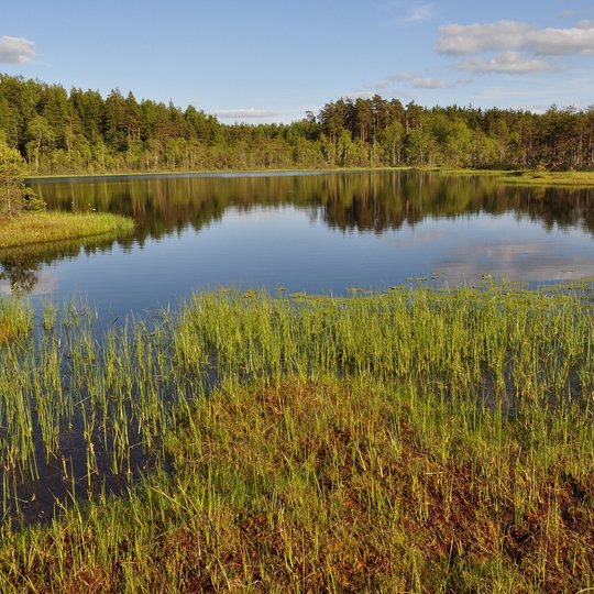 Distrofinis ežeras Rukundzių rezervate
