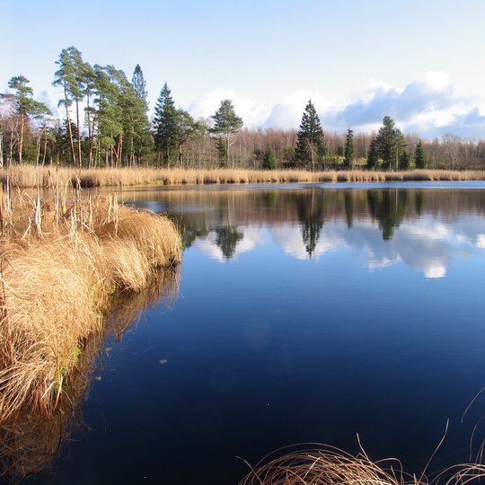 Endriuškaičių ežeras