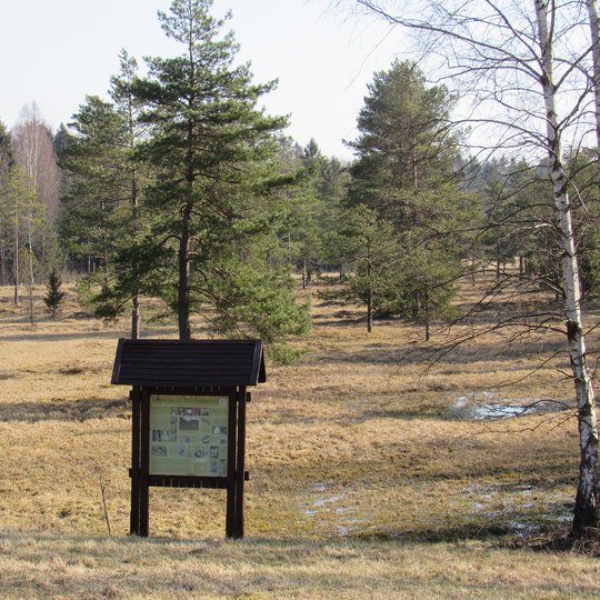 Velenijos pelke. A. Brazdeikytes n.JPG