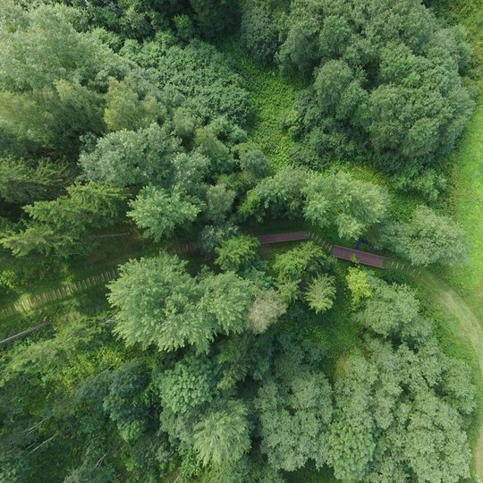 Gegrėnų archeologinis draustinis iš drono
