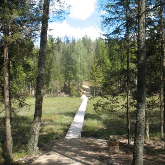 Seires-takas.-A.Brazdeikytes-n.jpg