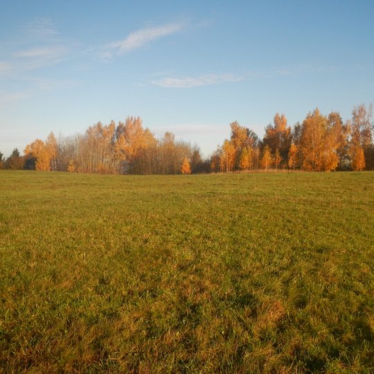 Jazdauskiškių kapinynas