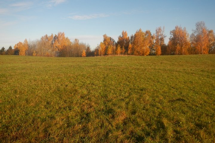 Jazdauskiškių kapinynas