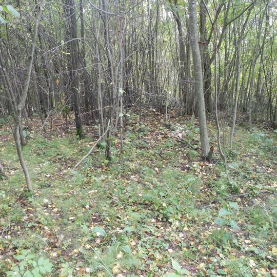 Visvainių alkakalnis