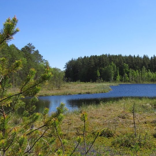 Jazdauskiškių kraštovaizdžio draustinis