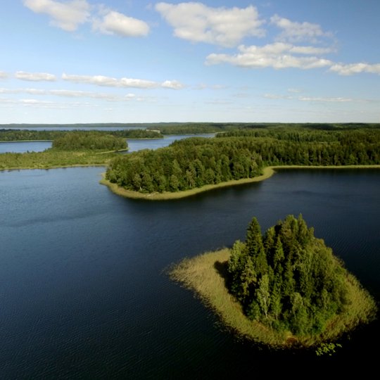 Gaidsale. G.Norvaiso n.JPG