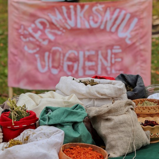 Iliustracija