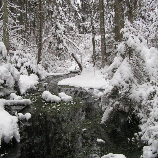 12.-juodupis-2006-012-G.Margio-foto.jpg