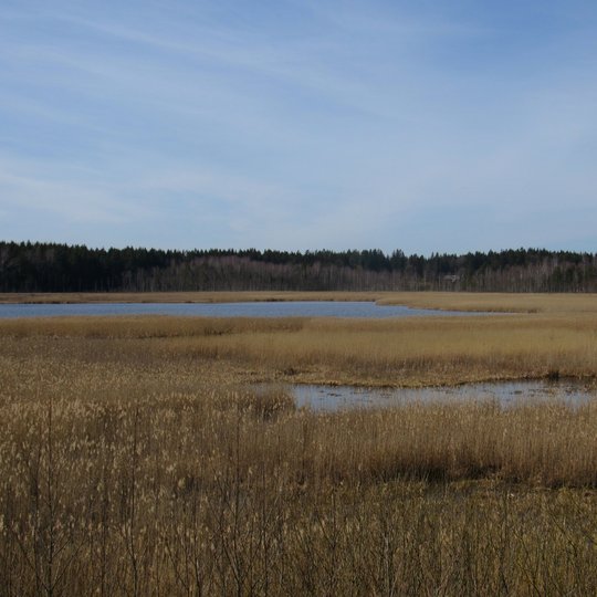 Pakastuvos tvenkinys is pauksciu stebejimo vietos. A.Brazdeikytes n.JPG