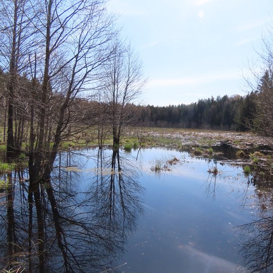 Iliustracija