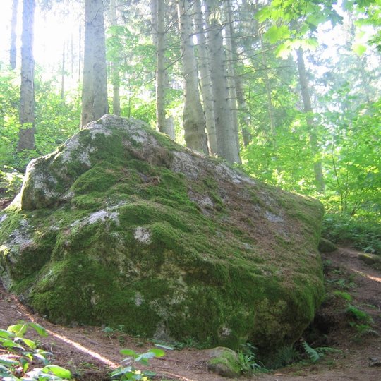 Velnio akmuo Mikytų alkaklnio take