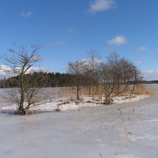 Ilgio ežero sala