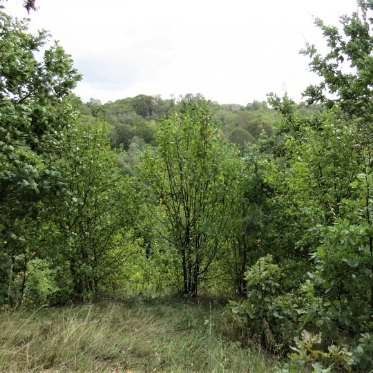 Iliustracija