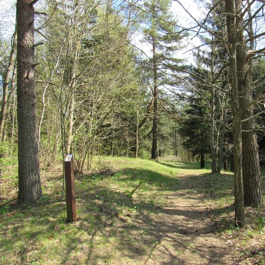 The path of the poet V. Mačernis