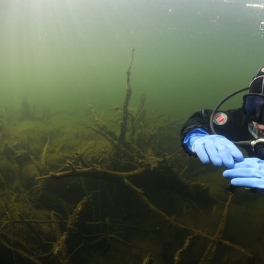 Diving in Plateliai lake
