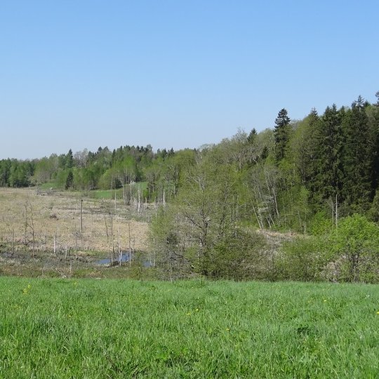 Grigaičių kraštovaizdžio draustinis