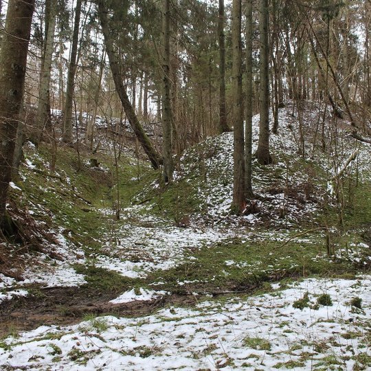 8-2017-03-12-Medsedziu-geomorf-dr.-nSS-99.jpg