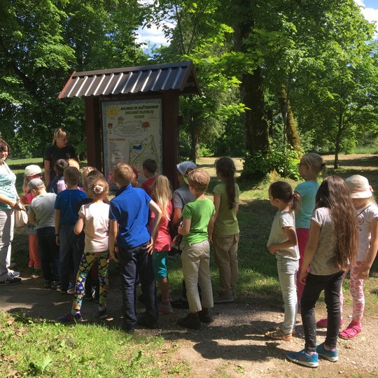 "Acorns and chestnut" trail