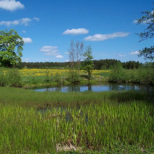 Stirbaičių kraštovaizdžio draustinis