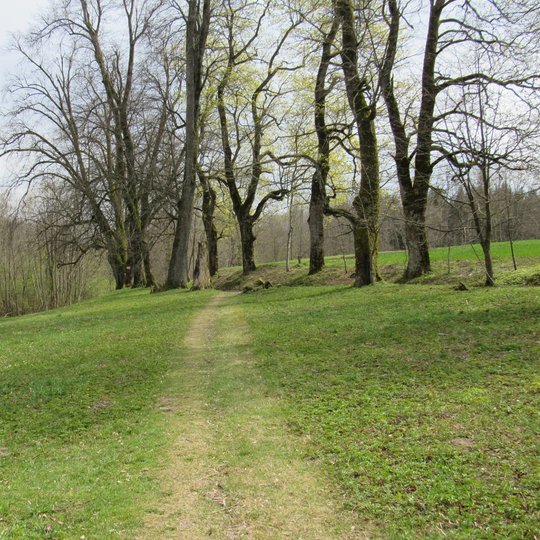 "Acorns and chestnut" trail