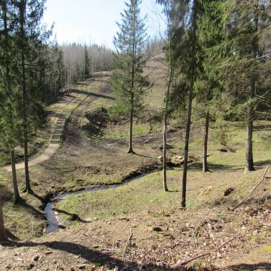 Gegrenu-piliakalniu-takas.-A.-Brazdeikytes-n-3-662x497.jpg