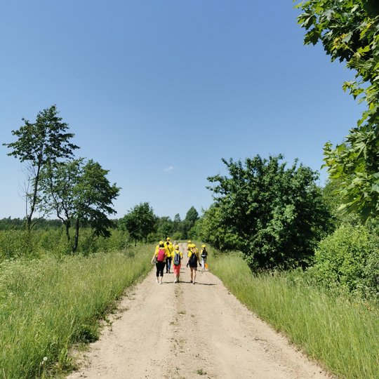 Iliustracija