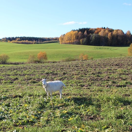 Pučkorių kraštovaizdžio draustinis