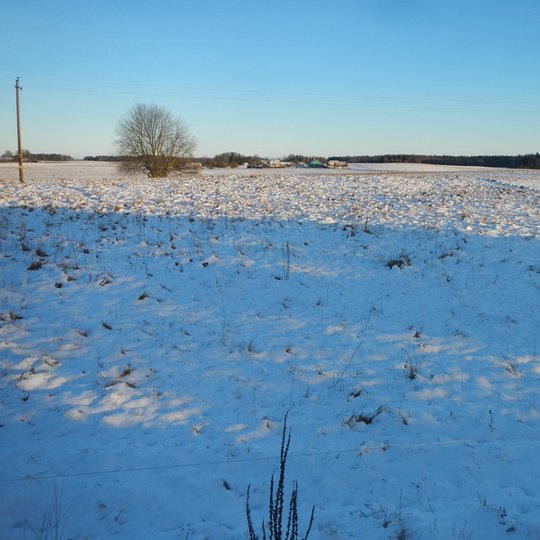 Uogučių kapinynas