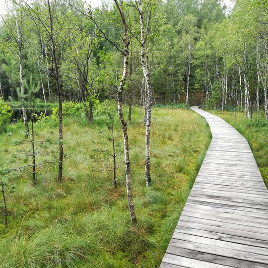 Ilgis lake cognitive trail