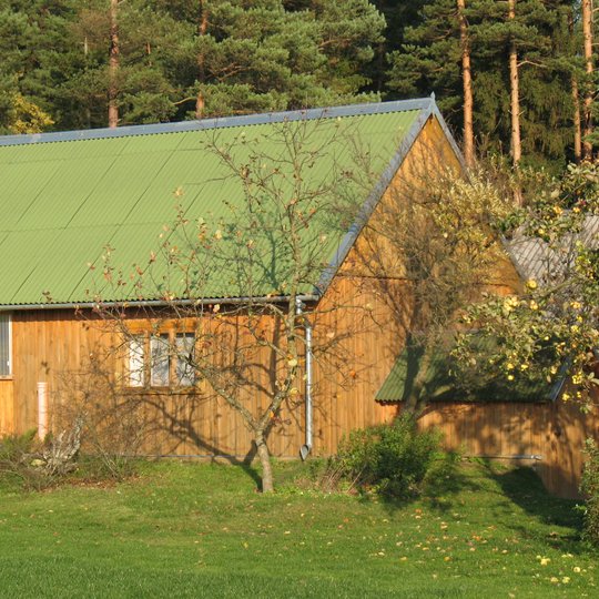 Leliunienes-KTS.A.Brazdeikytes-n-min.jpg