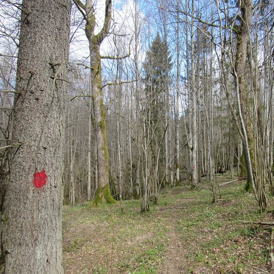 IMG_3218.jpg