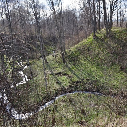 Mikytų piliakalnis