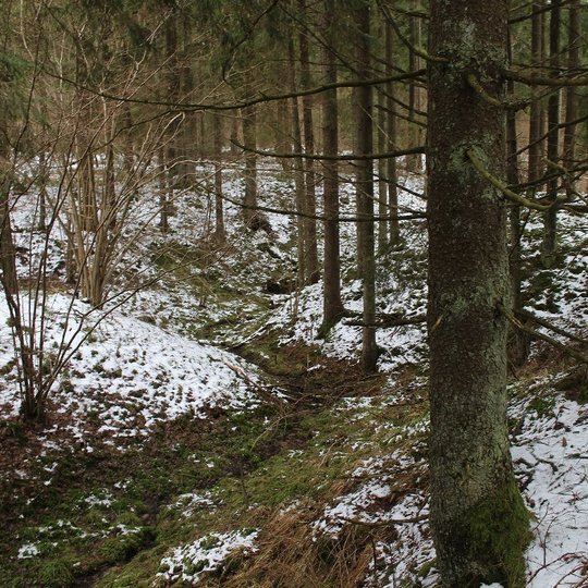 7-2017-03-12-Medsedziu-geomorf-dr.-nSS-17.jpg
