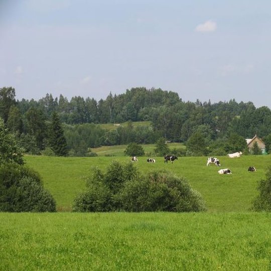 Vilkaiciu-valstybinis-geomorfologinis-draustinis.jpg