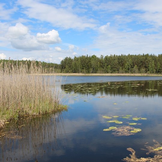 Burgio ežeras