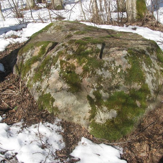 Akmuo-su-Laumes-peda.-M.Jankauskienes-nuotr.jpg